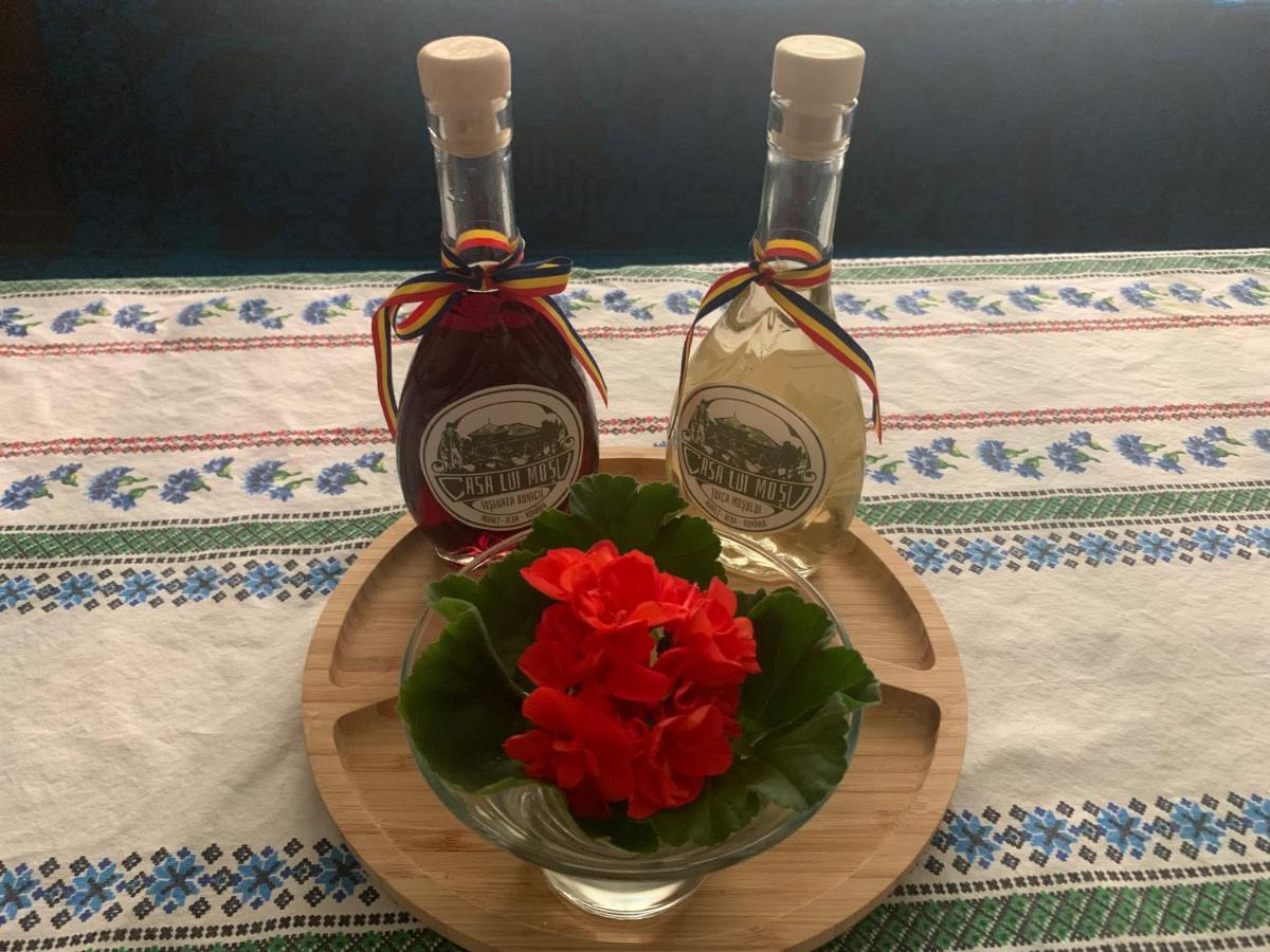 فيلا Casa Lui Mosu ألبا يوليا المظهر الخارجي الصورة